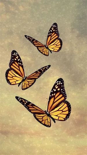 Cute Yellow Butterflies In The Sky Wallpaper