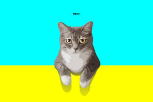 Cyan And Yellow Cat Wallpaper