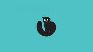 Cyan Black Cat Cartoon Wallpaper