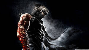 Cyber Arm Ninja Gaiden 3 Wallpaper