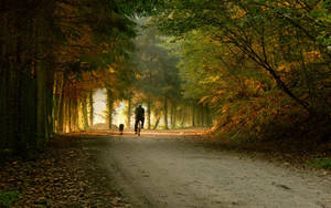 Cycling On Park Road Wallpaper