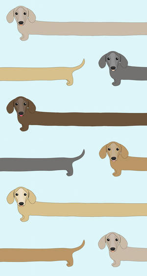 Dachshund Cartoon Dogs Wallpaper