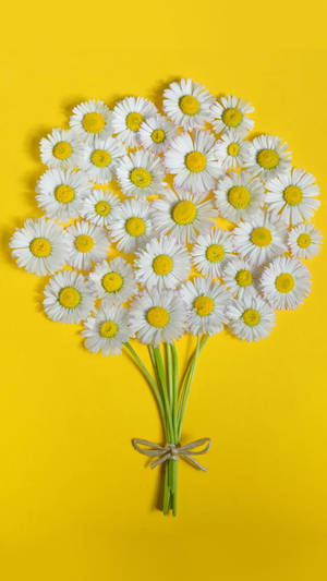 Daisies Plain Yellow Iphone Wallpaper