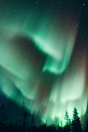 Dancing Northern Lights Of Finland Wallpaper