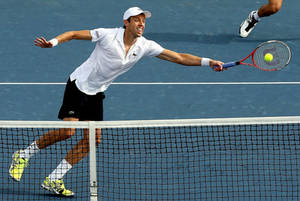 Daniel Nestor Long Diving Stroke Wallpaper