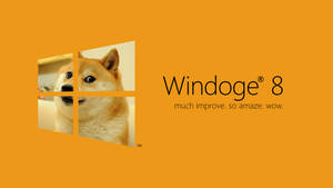 Dank Memes For Windoge 8 Wallpaper