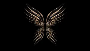 Dark Angel Wings Pc Wallpaper