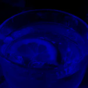 Dark Blue Aesthetic Tequila Wallpaper