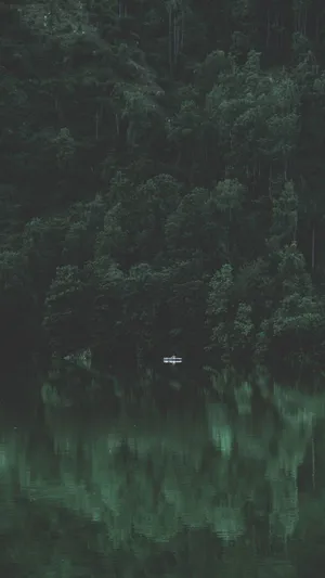 Dark Forest And River Relaxing Iphone Wallpaper