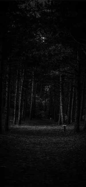 Dark Forest Black Apple Iphone Wallpaper