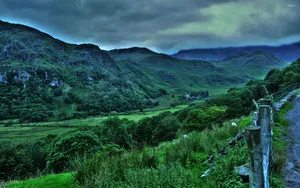 Dark Green Landscape Aesthetic Wallpaper