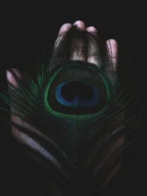 Dark Green Mor Pankh Wallpaper