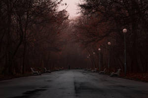 Dark Park Road Wallpaper