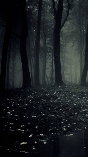 Dark Phone Scary Woods Wallpaper