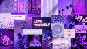 Dark Purple Collage Aesthetic Photo Collection Love Wallpaper