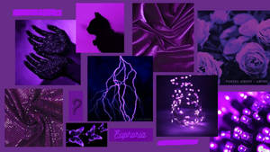 Dark Purple Collage Aesthetic Room Collection Display Wallpaper