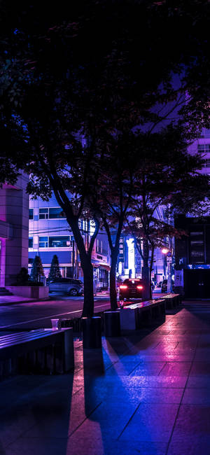 Dark Purple Night Street Wallpaper