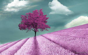 Dark Purple Tree Wallpaper