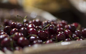 Dark Red Bunch Of Cherries Wallpaper