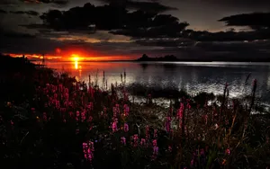 Dark Spring Sunset Riverbank Shrubs Wallpaper