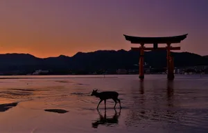 Dark Torii Gate Wallpaper