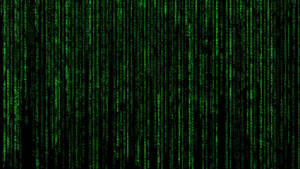 Data Green Codes Falling Matrix Wallpaper