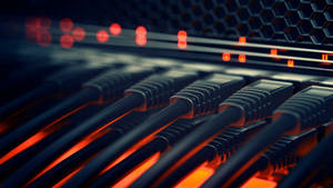 Data Transfer Ethernet Cables Wallpaper