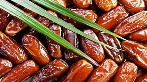 Dates With Palm Tree Leaves Wallpaper