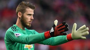 David De Gea Focused On Match Wallpaper