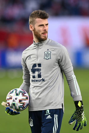 David De Gea Gray Spanish Kit Wallpaper