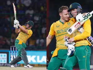 David Miller Collage Wallpaper