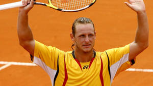 David Nalbandian Waving Wallpaper