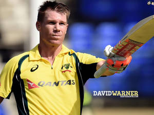 David Warner In Yellow Wallpaper