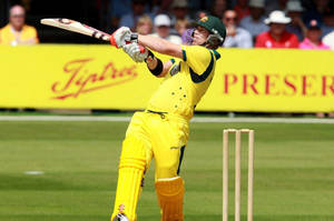 David Warner Mid Hit Wallpaper