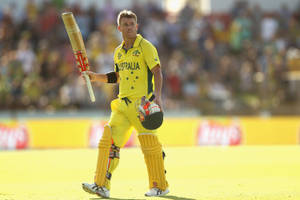 David Warner Walking Wallpaper