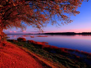Daybreak At A River In Riga Wallpaper