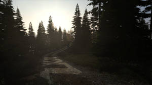 Dayz Dirt Path Wallpaper