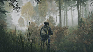 Dayz Foggy Forest Wallpaper