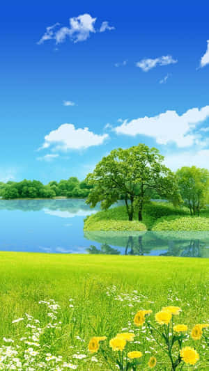 Dazzling Lake For Android Nature Wallpaper