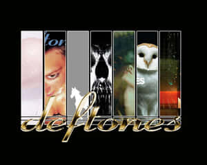 Deftones Blasting Off Into The Stratosphere. Wallpaper