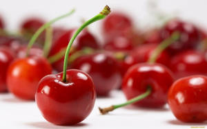 Delectable Freshly Picked Cherries Wallpaper