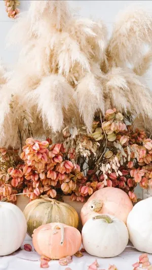 Deliciously Decorative Pink Pumpkin Wallpaper