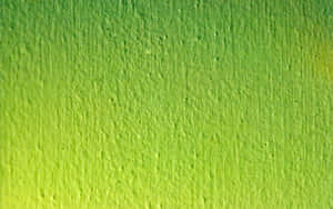 Delight In Nature's Wonders With The Lush And Vibrant Green Pattern Wall Paper. Wallpaper