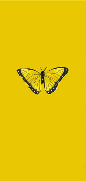 Delight In These Colorful Cute Yellow Butterflies! Wallpaper