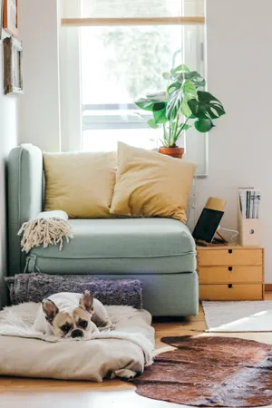 Delightful Day At Home With Man's Best Friend Wallpaper