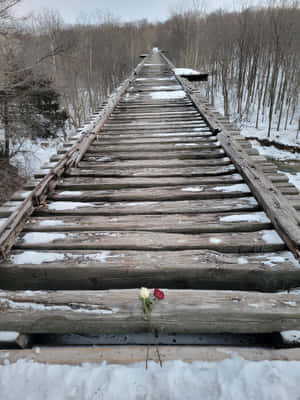 Delphi Monon High Bridge Wallpaper