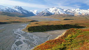 Denali Landscape With Grassy Field Wallpaper