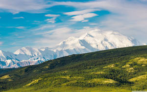 Denali Landscape With Green Field Wallpaper