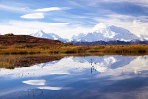 Denali With Lake Reflection Wallpaper