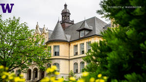 Denny Hall At University Of Washington Wallpaper